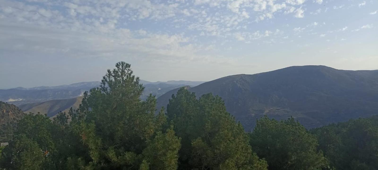 Hostal El Desvio سْييرا نيفادا المظهر الخارجي الصورة